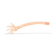 cartoon arm N6