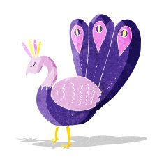 Cartoon Peacock N5