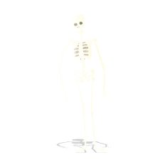 cartoon spooky skeleton