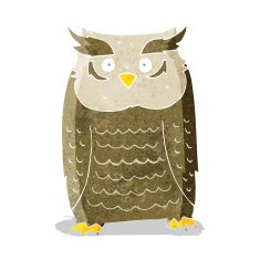 Cartoon Owl N80