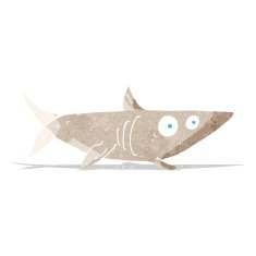 Cartoon Happy Shark N9