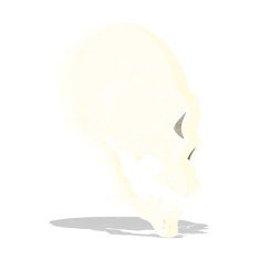 skull illustration N4