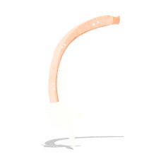 cartoon pointing arm N2