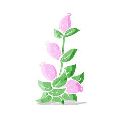 Cartoon Flowers N34