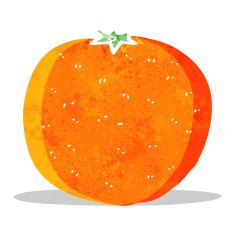 Cartoon Orange N11