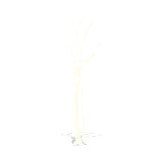 cartoon skeleton hand N2