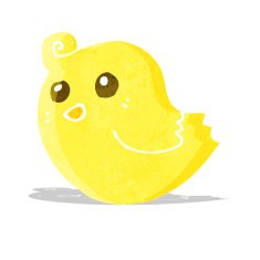 Cartoon Bird N113