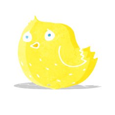Cartoon Bird N114