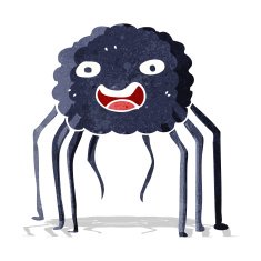 Cartoon Spider N13