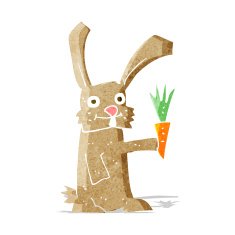 Cartoon Rabbit With Carrot N2