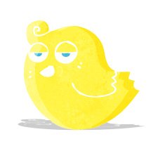 Cartoon Bird N116