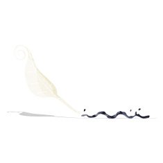 cartoon feather quill