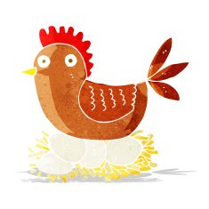 cartoon hen on eggs
