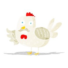 cartoon old rooster