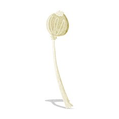 cartoon dried poppy