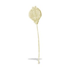 cartoon dried poppy N2