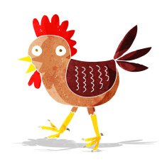 funny cartoon chicken N2