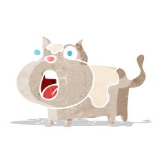 caroton shocked cat