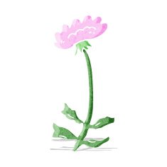 cartoon flower N129