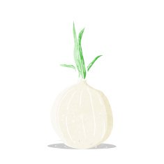 Cartoon Onion N10