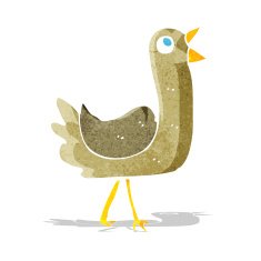 Cartoon Bird N119