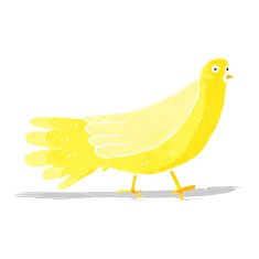 Cartoon Bird N120
