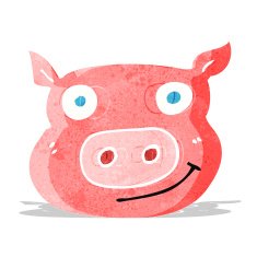 Cartoon Pig Face N8