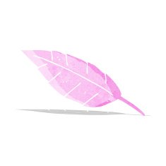 Cartoon Feather N10