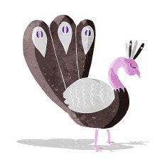 Cartoon Peacock N6
