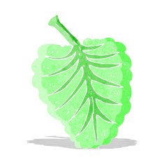 cartoon leaf symbol N6