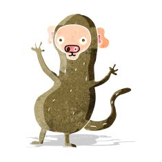 Cartoon Monkey N66