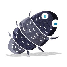 cartoon bug N29