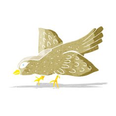 Cartoon Bird N121