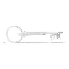 Cartoon Key N10