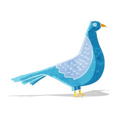 Cartoon Bird N122