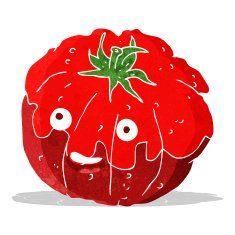 cartoon happy tomato