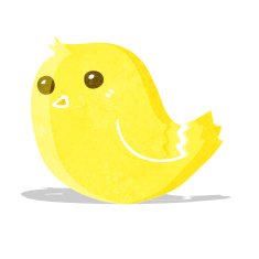 Cartoon Bird N123