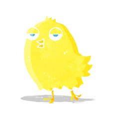 funny cartoon bird N47