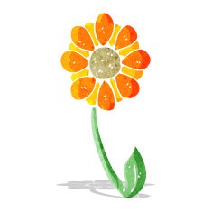caroton flower N2