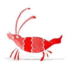 Cartoon Shrimp N16