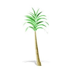 Cartoon Palm Tree N62