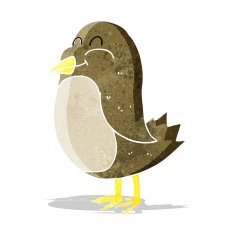 Cartoon Bird N124