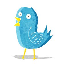 cartoon bluebird N5
