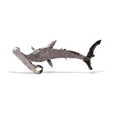 Cartoon Hammerhead Shark N6