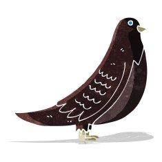Cartoon Bird N126