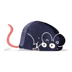 cartoon white mouse N17