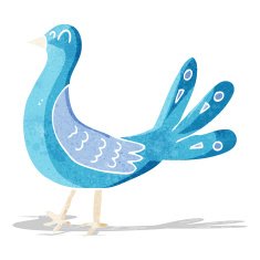 Cartoon Bird N128