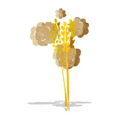 cartoon straw N2