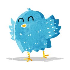Cartoon Bird N129