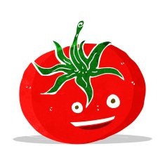 Cartoon Tomato N35